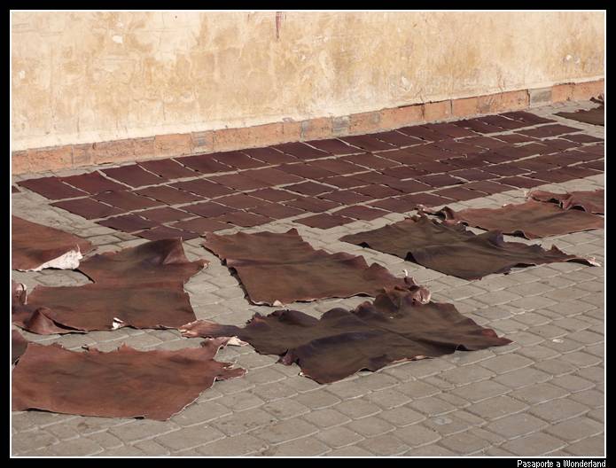 Pieles zoco Marrakech